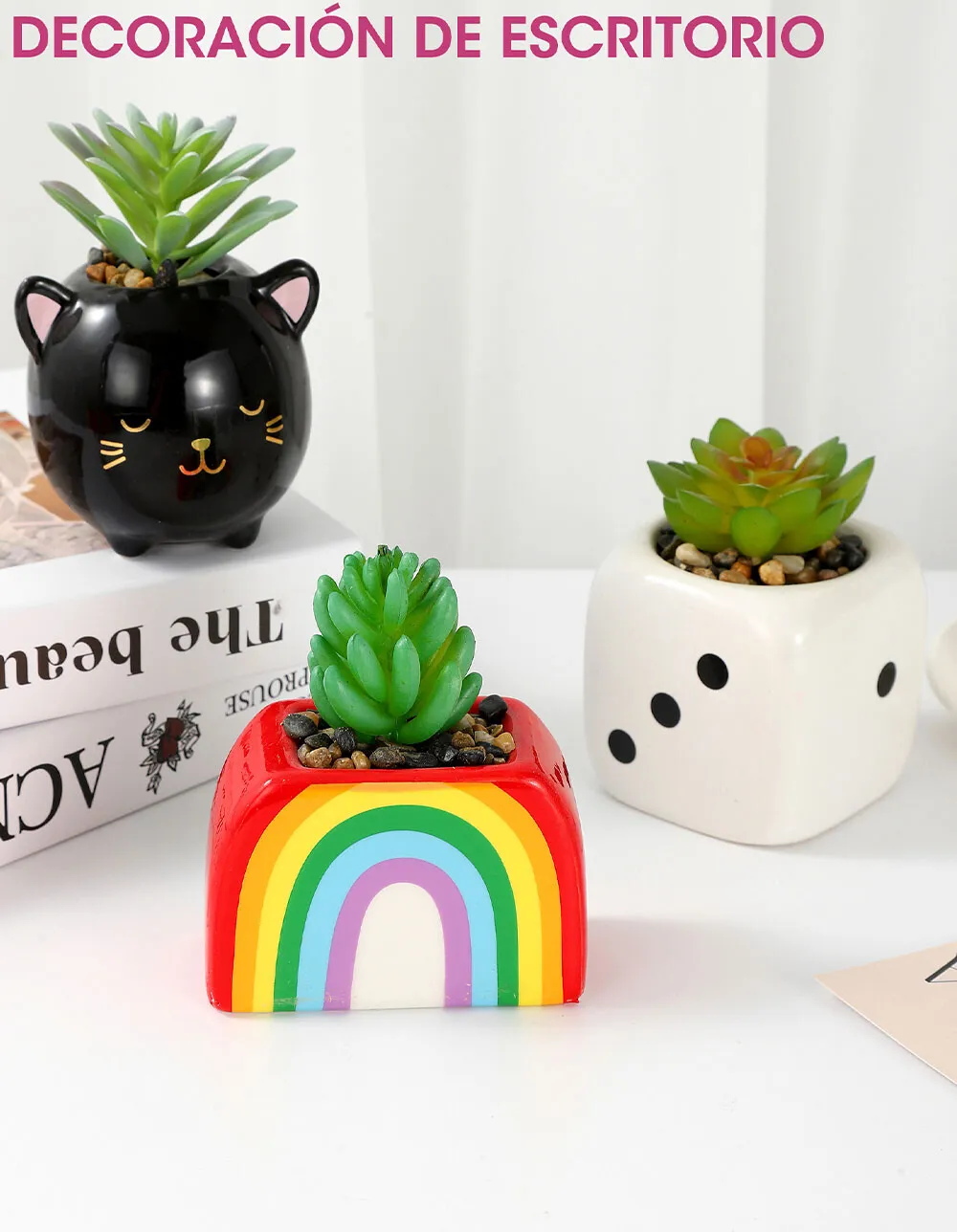 Maceta con Planta - Arcoiris - Imagen 4