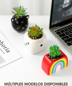 Alternative view of Maceta con Planta - Gatito Negro