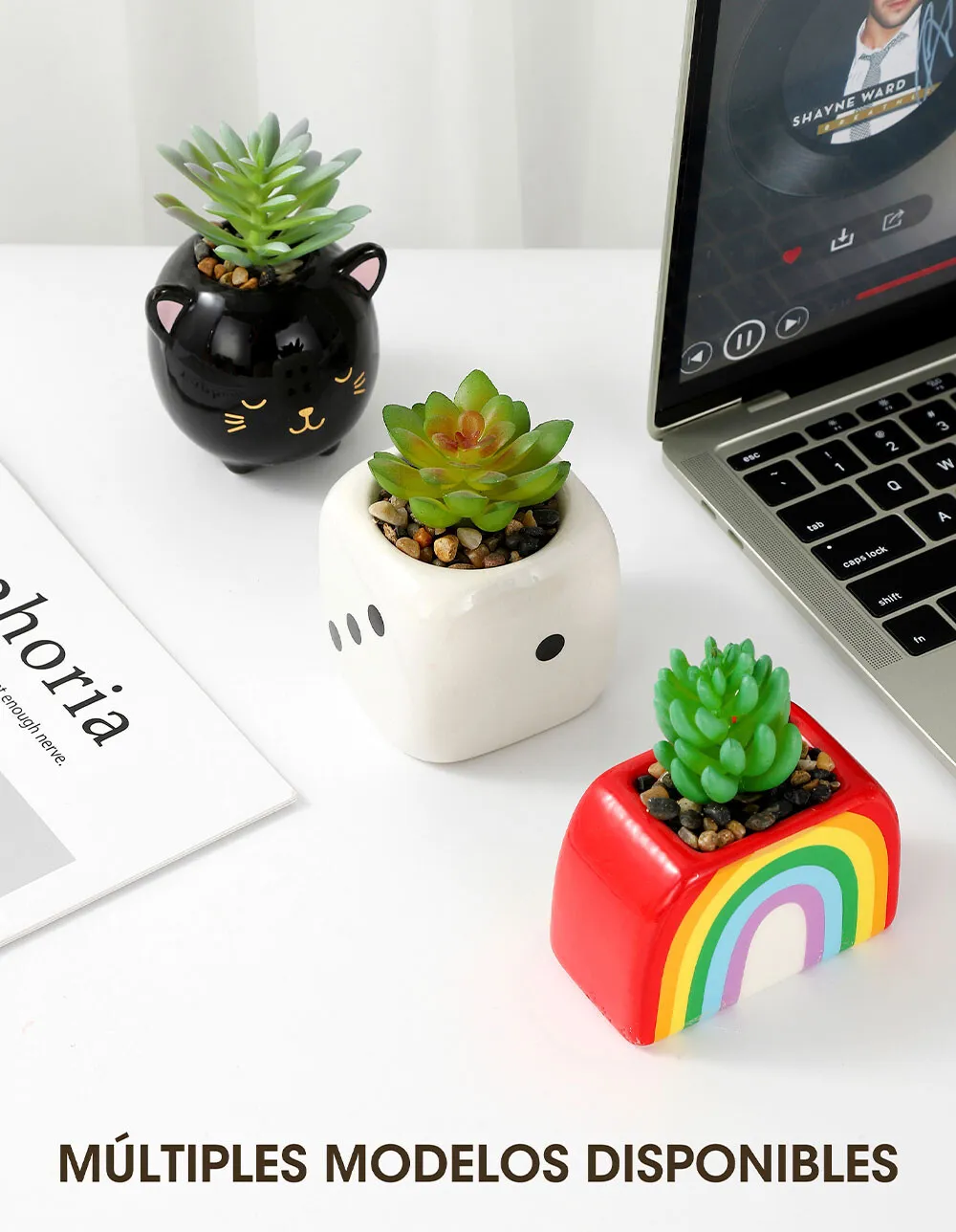 Maceta con Planta - Gatito Negro - Imagen 2