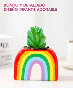 Maceta con Planta - Arcoiris