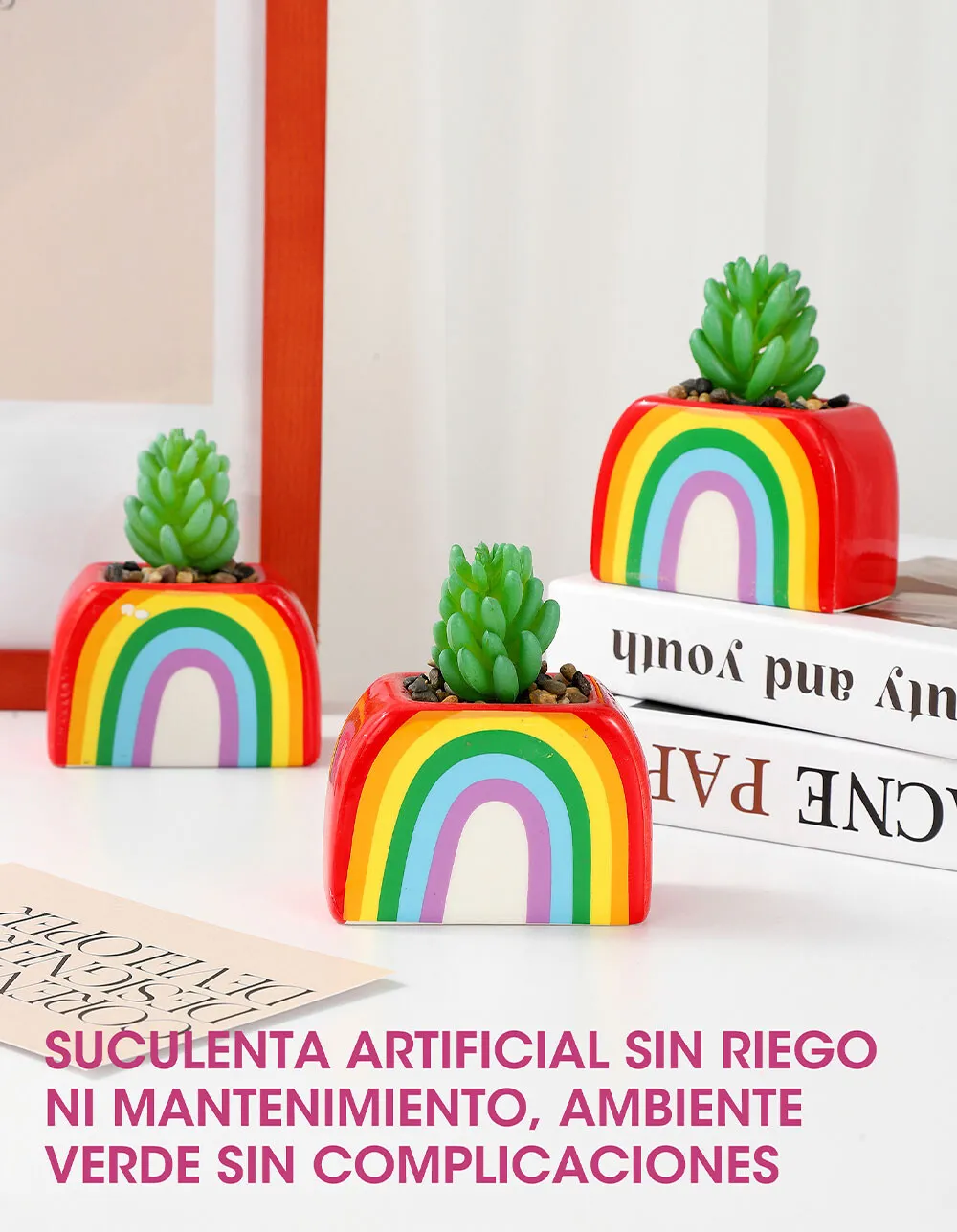 Maceta con Planta - Arcoiris - Imagen 2