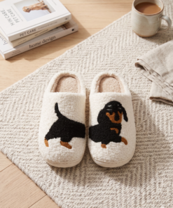 Pantuflas - Happy Cute Animals