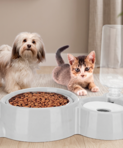 Comedero de Mascotas + Botella 500ml