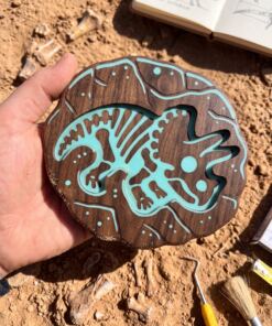 Kit excavacion - Dinosaurio - Imagen 4