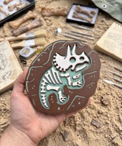 Kit excavacion - Dinosaurio